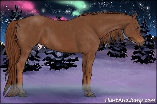 Horse Color:Chestnut  and Chestnut 