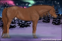 Horse Color:Chestnut  and Chestnut 