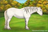 Horse Color:Smoky Creme Roan Dun  and Perlino Roan Dun 