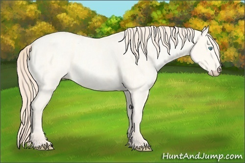 Horse Color:Smoky Creme Roan Dun and Smoky Creme Roan Dun