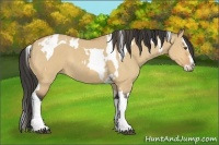 Horse Color:Buckskin Dun Tobiano  and Buckskin Dun Splash Tobiano 