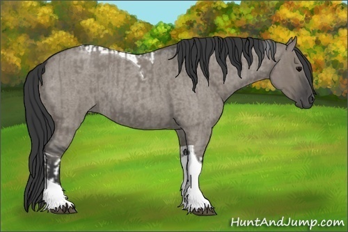 Horse Color:Grullo Roan Tobiano and Smoky Grullo Roan Tobiano