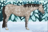 Horse Color:Liver Red Dun Ice Roan 