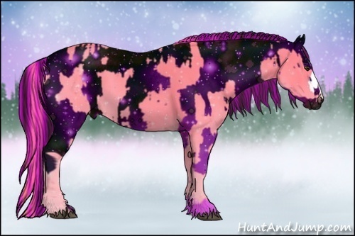 Horse Color:ERROR: UNKNOWN ANOMALY and ERROR: UNKNOWN ANOMALY