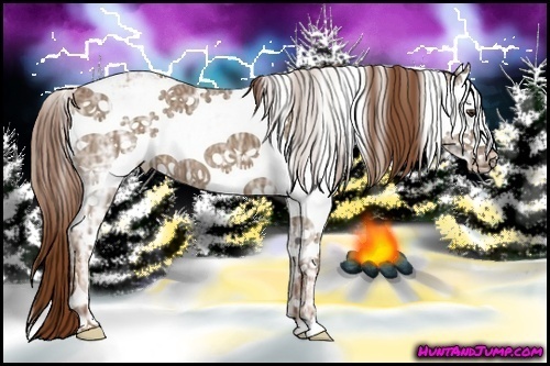 Horse Color:Chestnut Ice Sabino Splash 