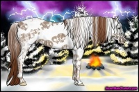 Horse Color:Chestnut Ice Sabino Splash