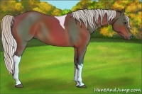 Horse Color:Silver Bay Tobiano  and Silver Bay Tobiano Rabicano 