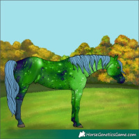 Horse Color:ERROR: UNKNOWN ANOMALY