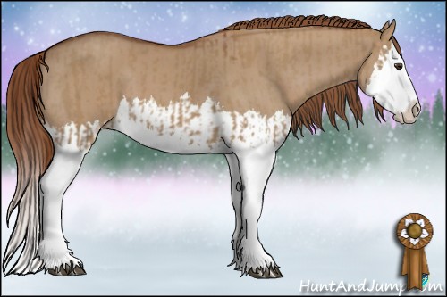 Horse Color:Red Dun Splash  and Red Dun Splash 
