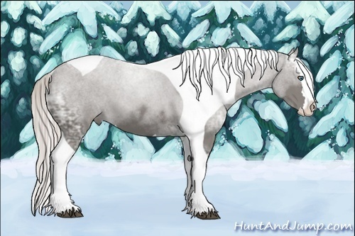 Horse Color:Silver Black Ice Splash Tobiano 