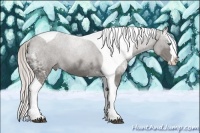 Horse Color:Silver Black Ice Splash Tobiano