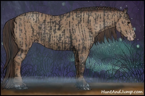 Horse Color:Black  and Classic Champagne 