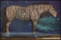 Horse Color:Black  and Classic Champagne 