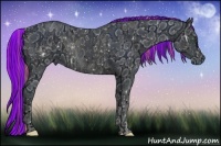 Horse Color:ERROR: UNKNOWN ANOMALY and ERROR: UNKNOWN ANOMALY