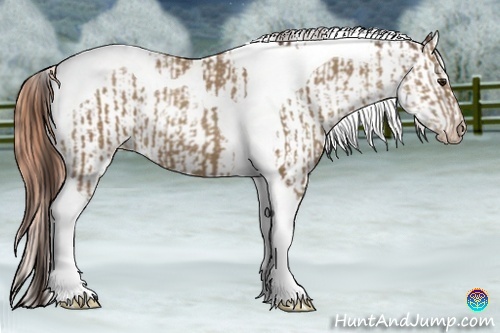 Horse Color:Classic Champagne Tobiano and Classic Champagne Tobiano Appaloosa