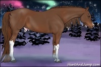 Horse Color:Chestnut  and Chestnut 