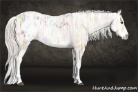 Horse Color:White Spotted Silver Bay Ice Splash Appaloosa 