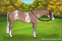 Horse Color:White Spotted Silver Bay Roan Splash 