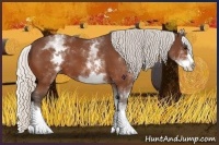 Horse Color:White Spotted Silver Bay Splash