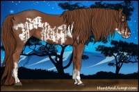 Horse Color:Chestnut  and Chestnut Frame 