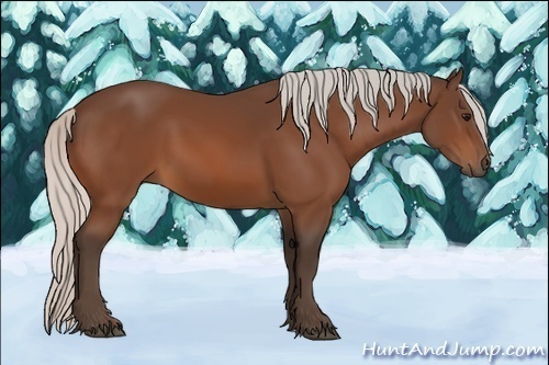Horse Color:Silver Bay
