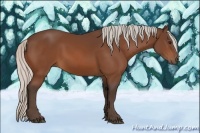 Horse Color:Silver Bay 