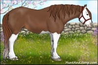 Horse Color:Chestnut Splash 