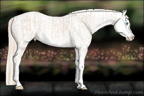 Horse Color:Perlino Sabino  and Perlino Sabino Splash 