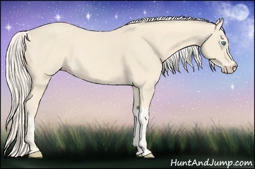 Horse Color:Cremello  and Cremello 