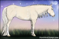Horse Color:Cremello Sabino  and Cremello 