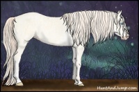 Horse Color:Cremello Dun Sabino and Smoky Creme Dun