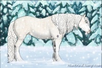 Horse Color:Cremello Sabino  and Cremello Sabino Varnish 