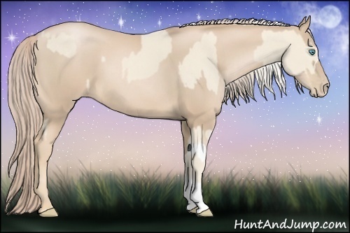 Horse Color:Cremello  and Palomino Pearl 