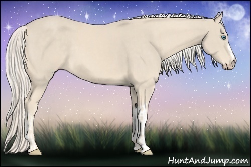 Horse Color:Cremello  and Cremello 