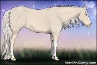Horse Color:Cremello  and Cremello 