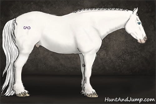Horse Color:Silver Smoky Creme 