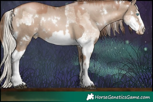 Horse Color:White Spotted Silver Grullo Pearl Sabino Rabicano  and White Spotted Grullo Pearl Rabicano 