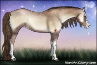 Horse Color:Liver Red Onyx Pearl 