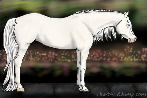 Horse Color:Silver Smoky Creme