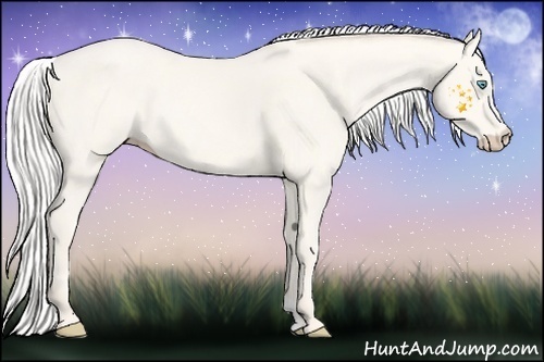 Horse Color:Silver Smoky Creme
