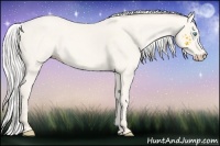 Horse Color:Silver Smoky Creme 