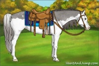 Horse Color:Grullo Splash Appaloosa 