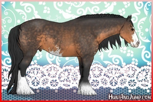Horse Color:Buckskin Sabino