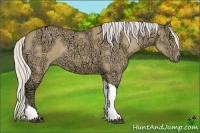 Horse Color:Silver Buckskin Ice Dun Tobiano 