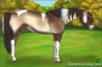 Horse Color:Liver Red Onyx Tobiano 