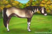Horse Color:Liver Red Onyx