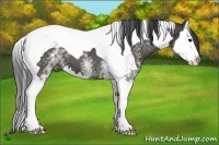 Horse Color:White Spotted Grullo Splash Tobiano