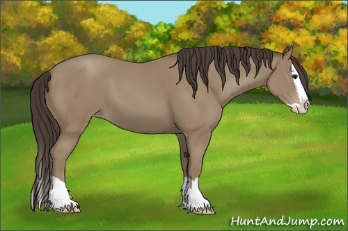 Horse Color:Classic Champagne Splash