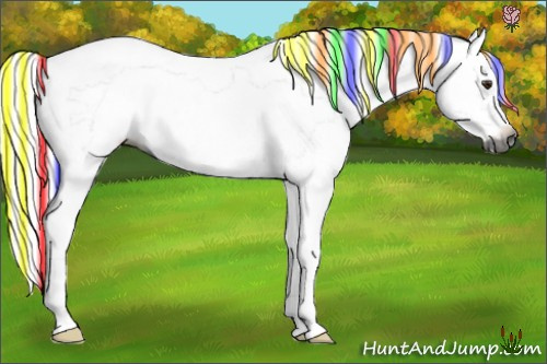 Horse Color:Gray Painted Chestnut Frame 