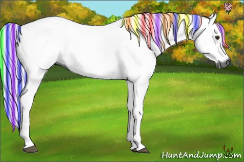 Horse Color:Gray Painted Chestnut 